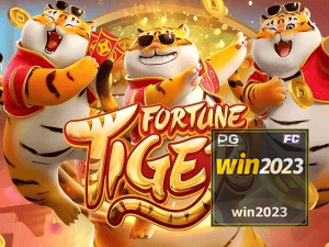 Guia install APK WIN2023 BR
